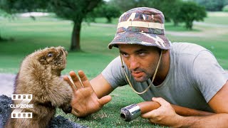 Caddyshack  Golfing amp Gophers  ClipZone Comedy Callbacks [upl. by Ttoille]