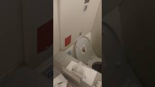 حمام طائرة النيل للطيران المصرية Nile Egypt Air plane bathroom [upl. by Burl528]