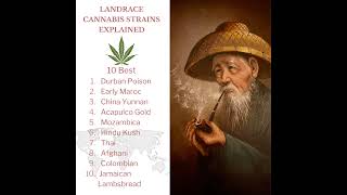 Landrace CANNABIS Strains  10 Famous Ancestors that changed the Cannabis World today [upl. by Schott]