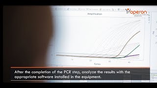 PCR Real Time qPCR procedure — OPERON [upl. by Nylrahc656]