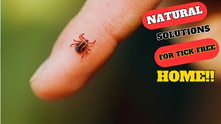 How To Get Rid Of Ticks In Your Home Naturally [upl. by Aker445]