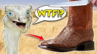 Why Ostrich leather Cowboy boots are expensive  Ariat Benchmade [upl. by Nellaf]