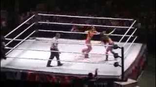 Aj Lee w Tamina vs Brie Bella w Nikki Bella [upl. by Noiroc921]