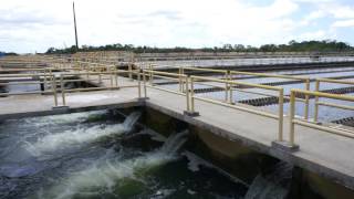 Interconection between conventional settling basin and filtration units [upl. by Tamarra875]