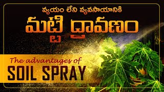 The advantages of Soil Spray మట్టి ద్రావణం  Farm Things [upl. by Butch]