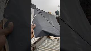 Kite looting from roof viralvideo kite kitelooting viralshorts kites [upl. by Ilek]