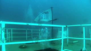 Diving the Almeida Carvalho Hydrographic Vessel [upl. by Iramohs]