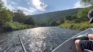 Fly Fishing the Catskill Mountains [upl. by Zertnom300]