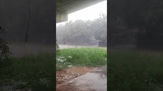 🌧️ varsham aching chali pettings  shorts trending viralvideos rain shortvideos [upl. by Resiak454]