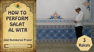 How to perform The Three Rakat Salat alWitr Odd Numbered Prayer [upl. by Phelgen459]