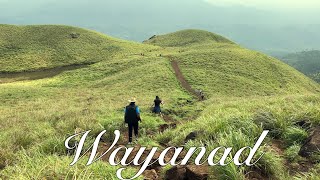 Things to do in Wayanad  Must visit Wayanad  Wayanad  Where to Stay and Eat in Wayanad [upl. by Askwith]