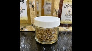 Gathering and Making a Honeybee Propolis Tincture and a Propolis with Raw Honey Throat Spray [upl. by Elleron]