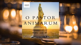 Notre Dame Magnificat Choir quotO Pastor Animarumquot by St Hildegard of Bingen with introduction [upl. by Marrin]