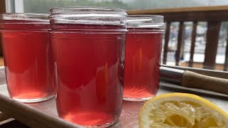 How to Make Fireweed Jelly [upl. by Tristis]