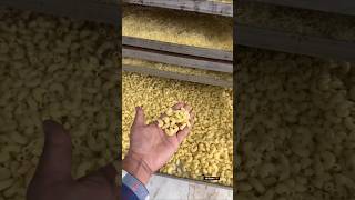 Pasta Kaise banta hai making shortvideo [upl. by Yeliab]