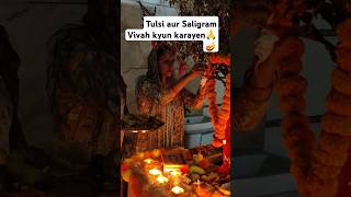 Tulsi vivah kyun karayen tulsi pooja festival saligramaytshort yt [upl. by Dimphia]