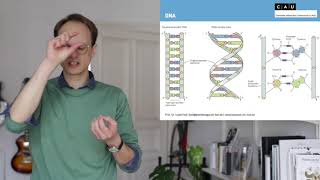 Vorlesung Biologische Psychologie S11 [upl. by Travax]