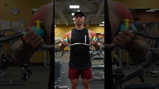 STOP Making This Bicep Curl MISTAKE [upl. by Merissa]