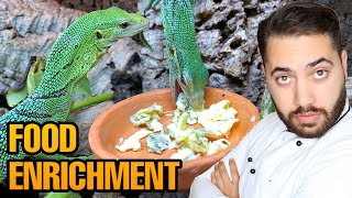 Feeding my Green Tree Monitors Varanus prasinus Gourmet Food [upl. by Gilda799]