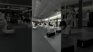 Taekwondo Demonstration Training shorts [upl. by Ahsoet]