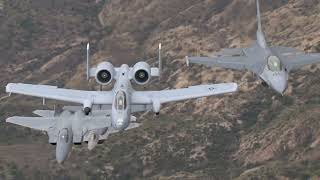 Warbirds up close [upl. by Littell]