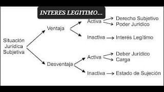 INTERES LEGITIMO DERECHO SUBJETIVO ADMINISTRATIVO CONSTITUCIONAL LEGITIMACION ACTIVA Y PASIVA AMPAR [upl. by Eadahc]