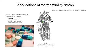 A brief introduction to nanoscale differential scanning fluorimetry nanoDSF [upl. by Kroo53]