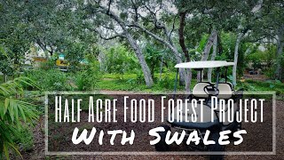 Half Acre Food Forest Project WITH SWALES [upl. by Javed941]