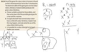 Chapter 163 SexLinked Genes Dihybrid Crosses and Autosomal Linkage [upl. by Atrebla801]