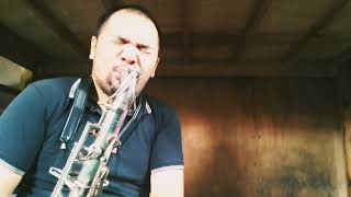 Pierrette competition tenor sax with plastic resonatorvintage berg LarsenRico reed [upl. by Maker]