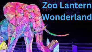 Step Into a Lantern Wonderland Cleveland Zoo’s Stunning Asian Lantern Festival 2024 [upl. by Lolanthe]