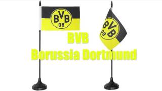 BVB Sound Fahne [upl. by Hendricks]