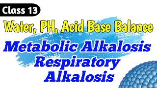 Metabolic Alkalosis  Respiratory Alkalosis  Class 13 [upl. by Ilke]