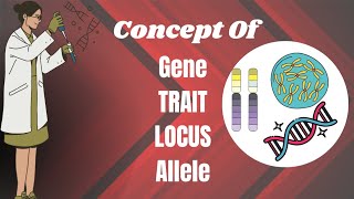 Gene  Trait  Locus  Allele [upl. by Nellahs]