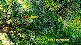 Soleil Jaune  Le vieux marronnier [upl. by Soinski]