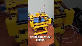 Cheap CoreXY 3D Printer [upl. by Dion]