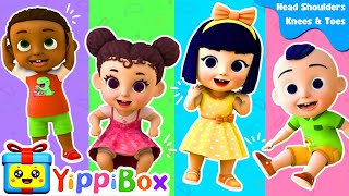 Learn Body Parts Head Shoulders Knees and Toes  YippiBox Nursery Rhymes amp Kid Songs [upl. by Bevus]