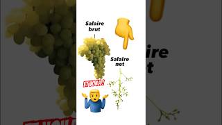 Le salaire NET… Cette BLAGUE 🤦‍♂️😂 Qui a remarqué  🤚 [upl. by Merle]