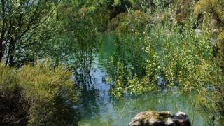 LE LAC SAINT CASSIEN [upl. by Jemina]