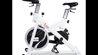 Sunny Health amp Fitness SFB1110 Indoor Cycling Bike [upl. by Duleba]