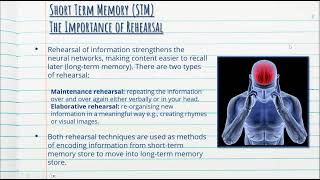 Modal Model of Memory  Cognitive Psychology  Stage 1 Psychology [upl. by Eletnahs649]