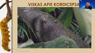 Viskas apie kordicepsą [upl. by Naitsirt327]