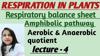 Respiratory balance sheetamphibolic pathwayanaerobic quotient respiration in plants class 11 [upl. by Hull]