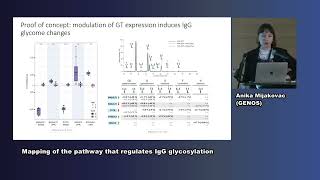 Dr Anika Mijakovac  Mapping of the pathway that regulates IgG glycosylation [upl. by Naesyar]