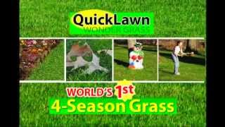 QuickLawn Grass Seed  Official Commercial  TopTVStuffcom [upl. by Iams]