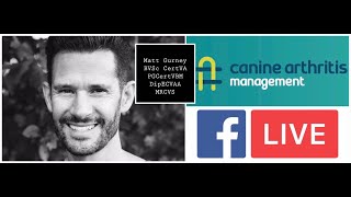 CAM LIVE Nonsteroidal antiinflammatories and grapiprant galliprant with Matt Gurney [upl. by Silsbye]