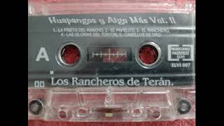 Los Rancheros de Teran  HUAPANGOS Y ALGO MAS Vol II Album Completo [upl. by Kaia647]