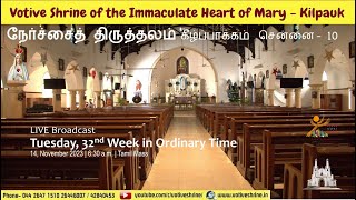 Votive Shrine Daily Mass  Live Stream  November 14 2023 Tuesday 630 am  Tamil Mass [upl. by Limhaj]