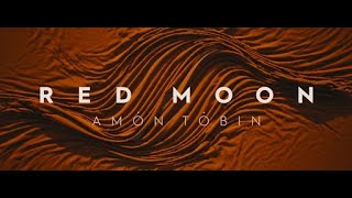 Amon Tobin Red Moon [upl. by Saffren11]