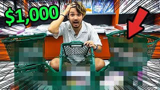 I Spent 1000 at Japans BIGGEST 𝐻Ǝ𝒩𝒯𝒜𝐼 Store [upl. by Ainslie]